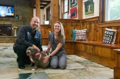 Veterinarian examining a dog